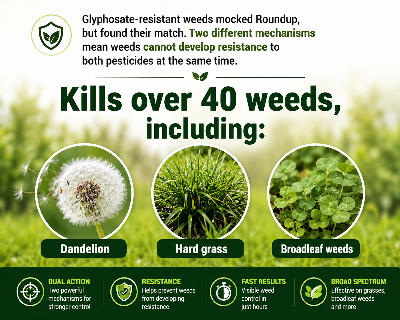 Max Power Dual Action Weed Killer (Pack of 2) | Fast Visible Results