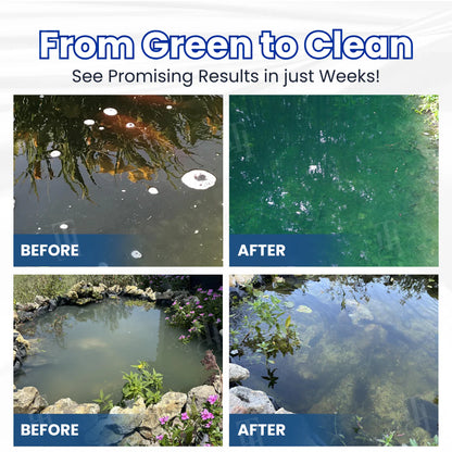 Crystal Clear Water Naturally | G&G Aqua-Guardian Pro Formula