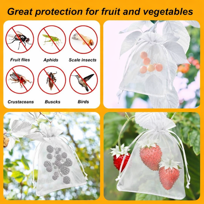 Fruit Protection Bags - Pack Of 50