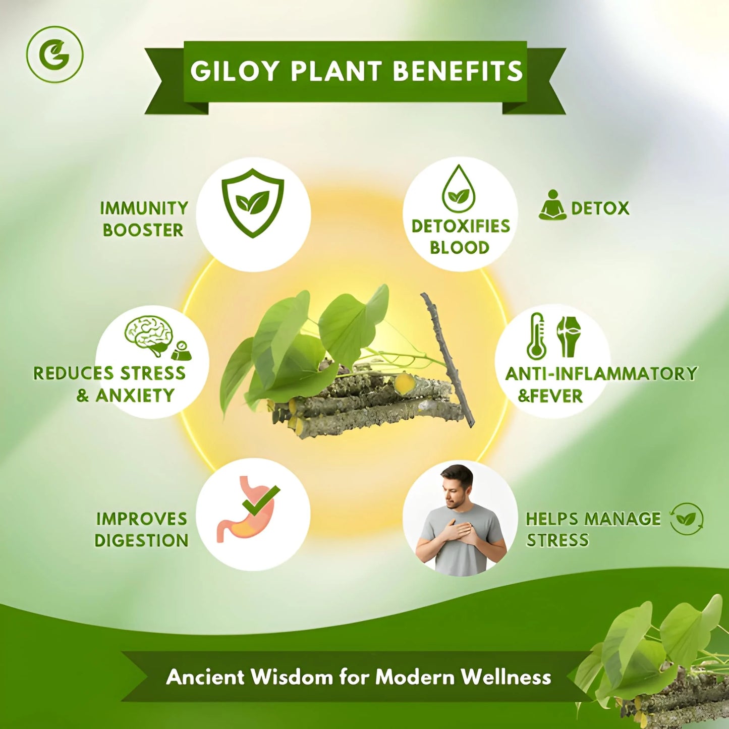 Herbal Giloy Patches 🌿 BUY 1 GET 1 FREE