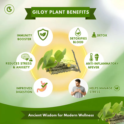 Herbal Giloy Patches 🌿 BUY 1 GET 1 FREE
